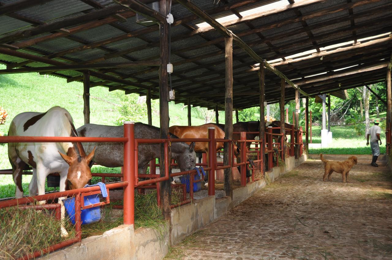 La Finca Lodge La Fortuna Extérieur photo
